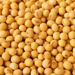 Soybeans